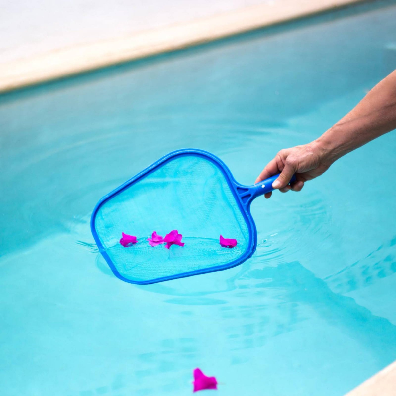 取り外し可能なプール葉っぱネット ポール付きで使いやすいプー - Pool Skimmer Net のレビューと価格