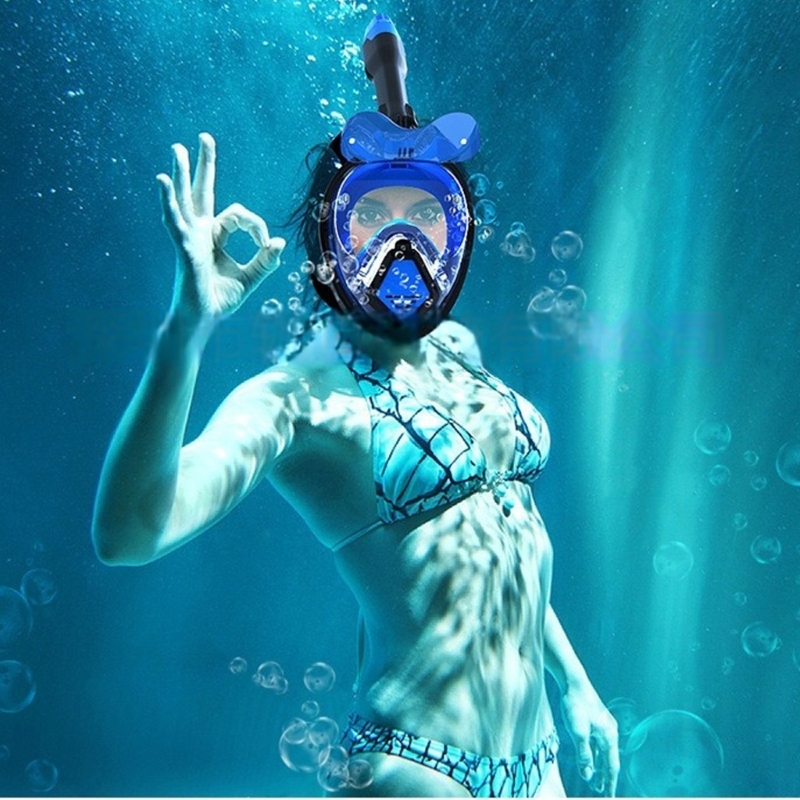 大人用ドライトップシュノーケルマスクプロフェッショナルシュノ - Snorkel Mask Full Face のレビューと価格